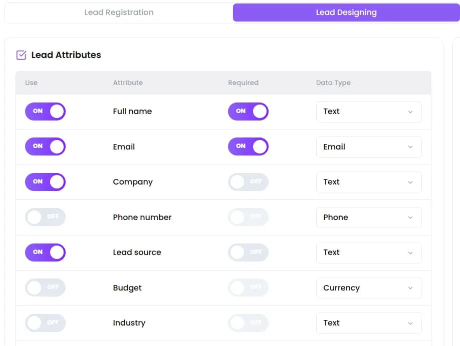 Custom lead fields configuration